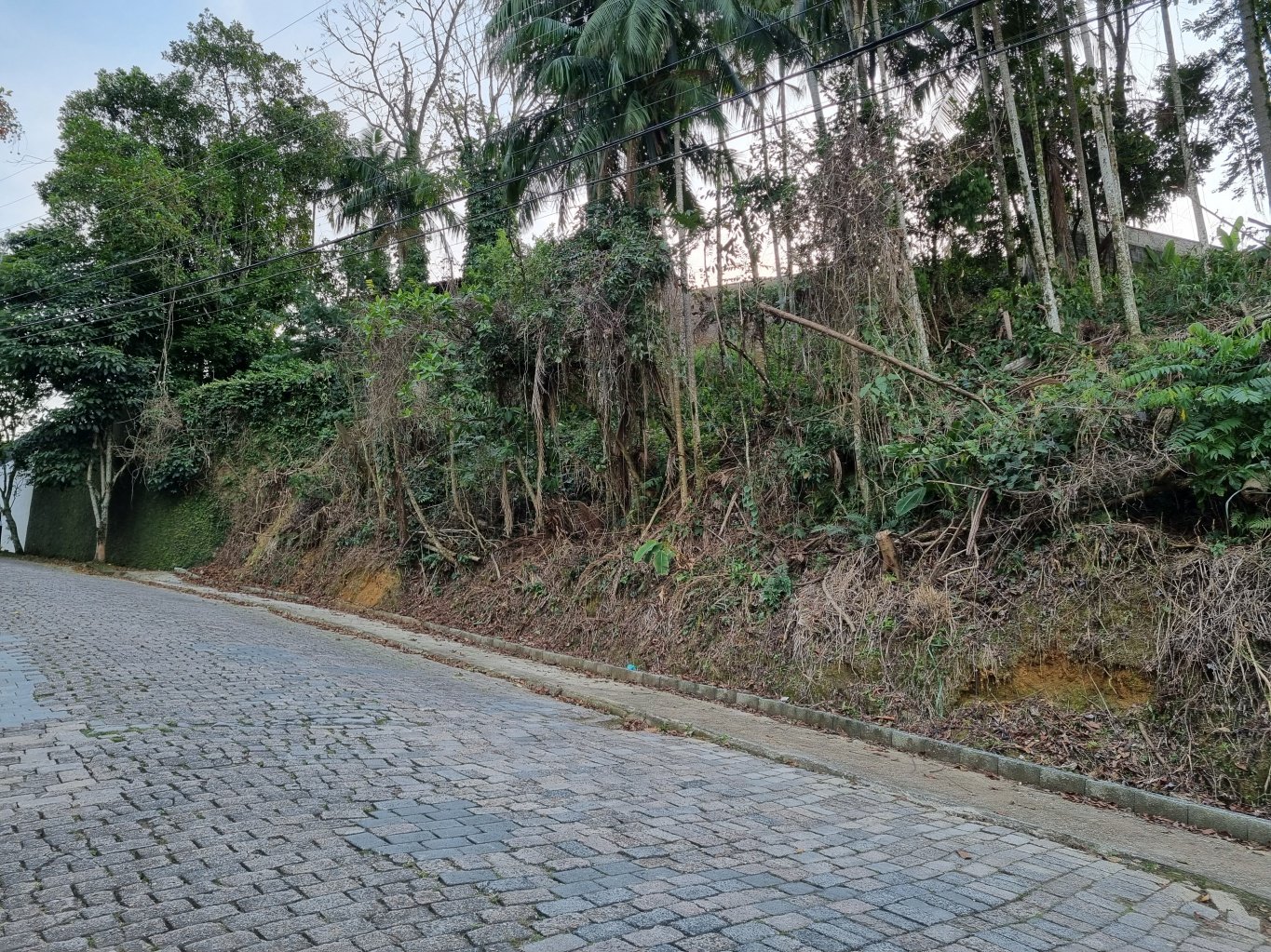 Terreno amplo no bairro Escola Agrícola para condomínio de casas, dinamica sul, imobiliaria em blumenau
