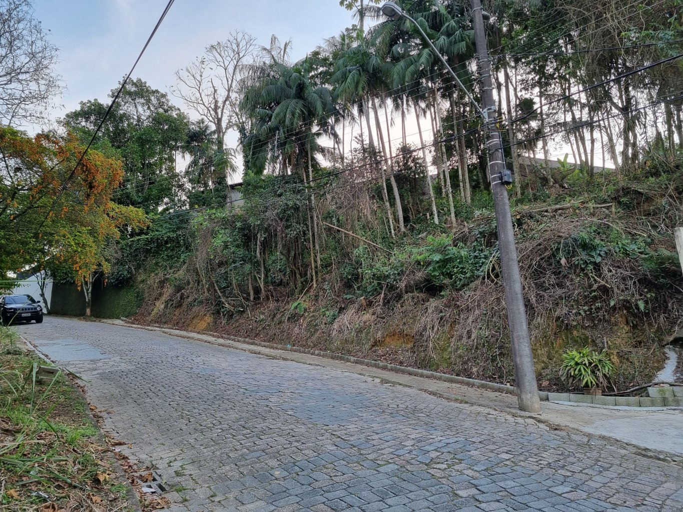 Terreno amplo no bairro Escola Agrícola para condomínio de casas, dinamica sul, imobiliaria em blumenau